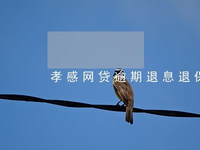 孝感网贷逾期退息退保服务费用 孝感网贷逾期退息退保服务费用