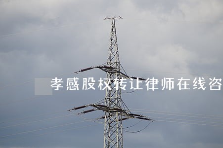 孝感股权转让律师在线咨询