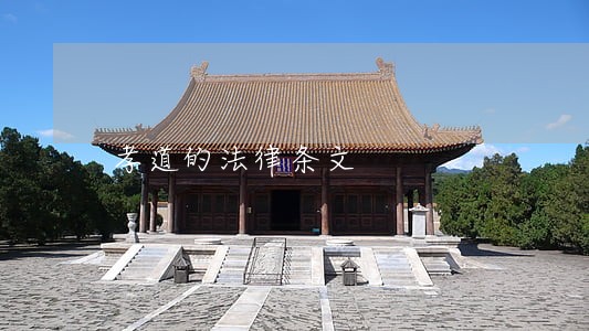 孝道的法律条文 孝道的法律条文
