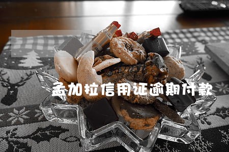 孟加拉信用证逾期付款 孟加拉信用证逾期付款