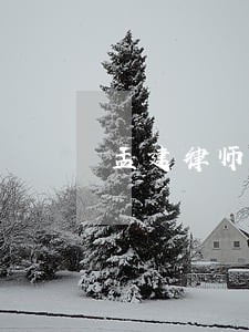 孟建律师解答了在吗 孟建律师解答了在吗