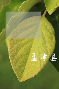 孟津县信用卡逾期律师事务所 孟津县信用卡逾期律师事务所