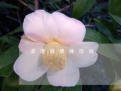 孟津县律师咨询