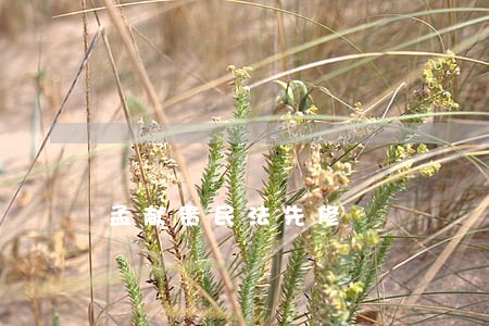 孟献贵民法先修 孟献贵民法先修