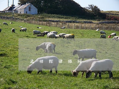 孟祥辉律师网 孟祥辉律师网