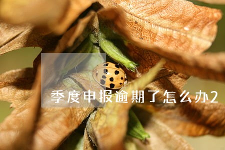 季度申报逾期了怎么办2021 季度申报逾期了怎么办2021