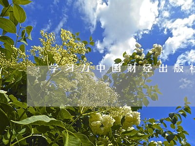 学习力中国财经出版社法律出版社 学习力中国财经出版社法律出版社