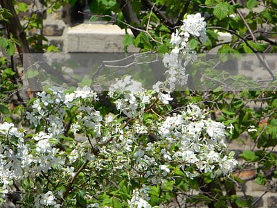 学习民法总则之十二 学习民法总则之十二