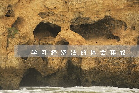 学习经济法的体会建议