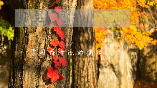 学习经济法的建议 学习经济法的建议