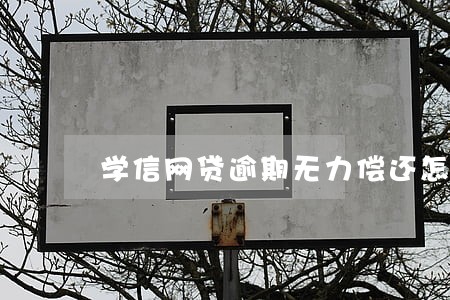 学信网贷逾期无力偿还怎么处理