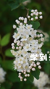 学到法律技能的5个建议 学到法律技能的5个建议