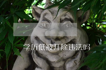 学历低被开除违法吗 学历低被开除违法吗