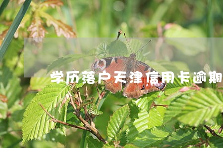 学历落户天津信用卡逾期有影响吗 学历落户天津信用卡逾期有影响吗