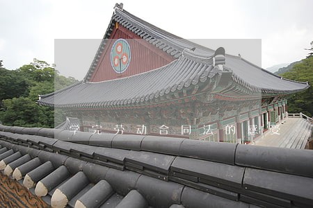 学完劳动合同法的感受 学完劳动合同法的感受