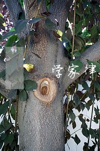 学家律师 学家律师