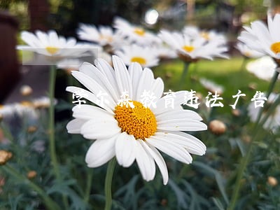 学尔森教育违法广告