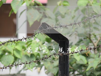 学建筑法规有感