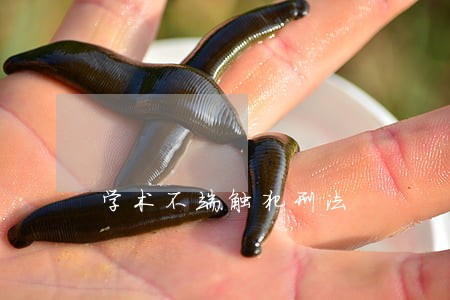 学术不端触犯刑法 学术不端触犯刑法