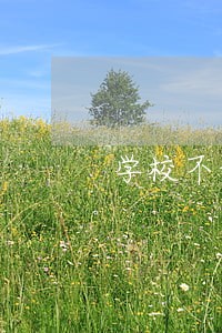 学校不让学生报名违法吗 学校不让学生报名违法吗