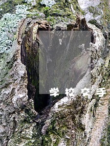学校交手机违法的法律有 学校交手机违法的法律有