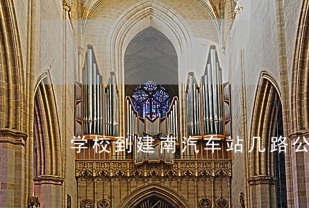 学校到建南汽车站几路公交 学校到建南汽车站几路公交