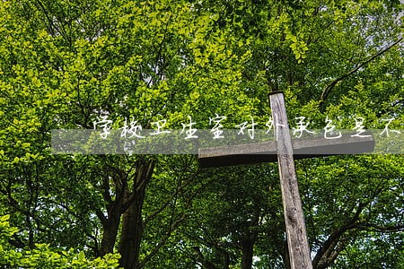 学校卫生室对外承包是不是违法