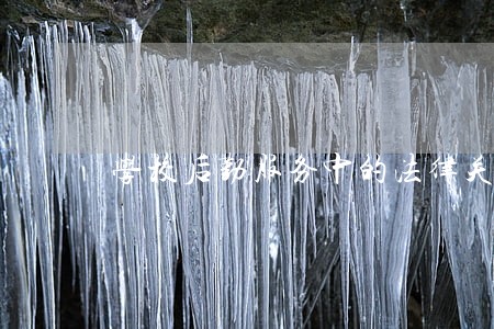 学校后勤服务中的法律关系 学校后勤服务中的法律关系