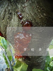 学校弄丢在校生档案违法吗 学校弄丢在校生档案违法吗