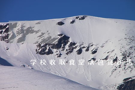 学校收取食堂承包费违法