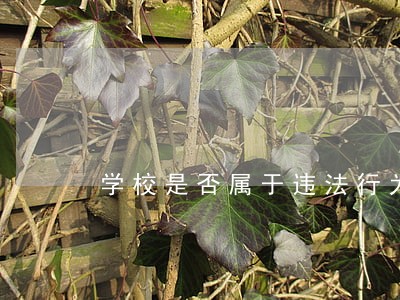学校是否属于违法行为 学校是否属于违法行为