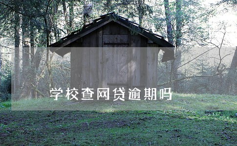 学校查网贷逾期吗 学校查网贷逾期吗