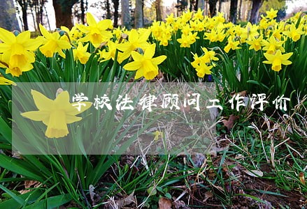 学校法律顾问工作评价 学校法律顾问工作评价