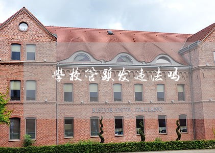 学校管头发违法吗 学校管头发违法吗
