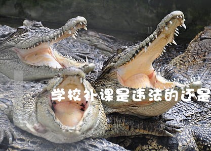 学校补课是违法的还是合法的 学校补课是违法的还是合法的