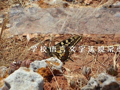 学校语言文字法规常识 学校语言文字法规常识