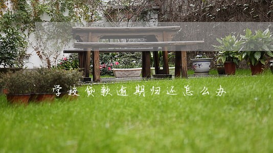 学校贷款逾期归还怎么办 学校贷款逾期归还怎么办