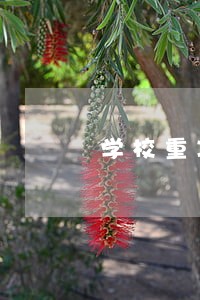 学校重决策法律咨询制度 学校重决策法律咨询制度