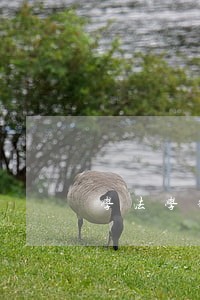 学法学律师 学法学律师