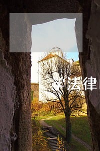 学法律的出路在哪