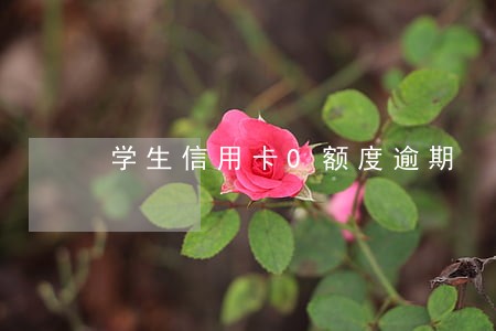 学生信用卡0额度逾期 学生信用卡0额度逾期