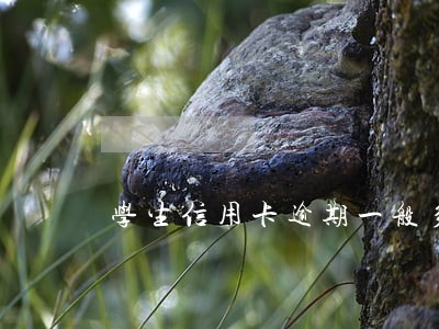 学生信用卡逾期一般多久会有 学生信用卡逾期一般多久会有