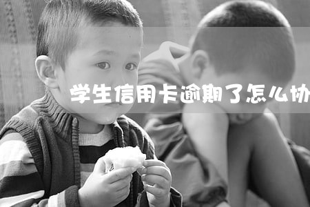学生信用卡逾期了怎么协商