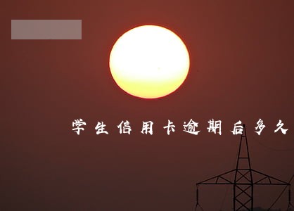 学生信用卡逾期后多久能消除 学生信用卡逾期后多久能消除