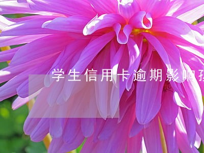 学生信用卡逾期影响孩子上学吗 学生信用卡逾期影响孩子上学吗