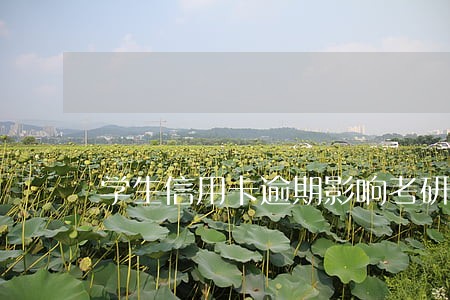 学生信用卡逾期影响考研吗 学生信用卡逾期影响考研吗