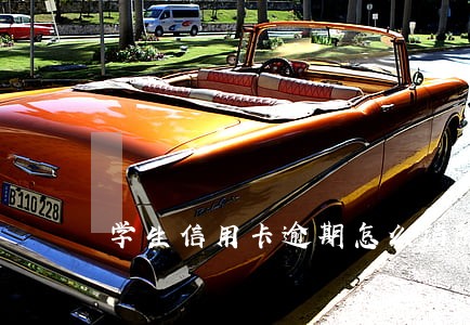 学生信用卡逾期怎么消除 学生信用卡逾期怎么消除