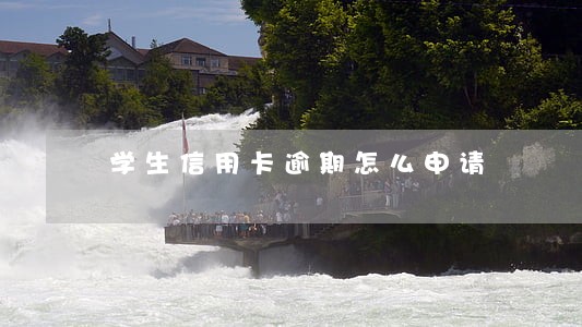 学生信用卡逾期怎么申请 学生信用卡逾期怎么申请