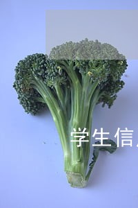 学生信用卡逾期还款后果