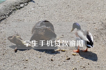学生手机贷款逾期 学生手机贷款逾期